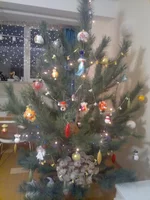 30122011390.jpg