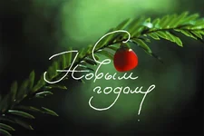 2012_NY.webp