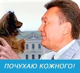 23.webp