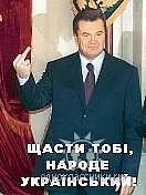 31.webp