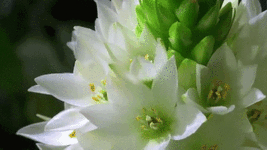 644a9941fb0b0b6d.gif