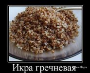 4b70172b380aa330d5123.jpg
