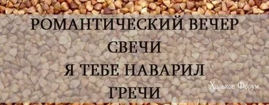 2dd5b5575a176742f.jpg
