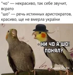 b9bf237da775846213fbbd.jpg