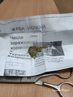 b3785a7df7d84ce268.webp