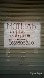 cb283bc69b64dce976b0114.webp