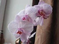 IMG_0357.webp
