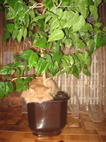 IMG_1819.webp
