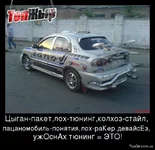 238.webp