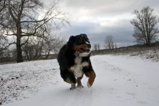 ws_IMG_0156.jpg