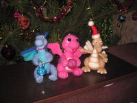 IMG_2989.jpg