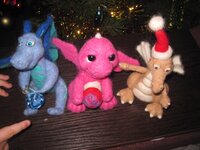 IMG_2992.jpg
