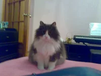 x_366b61ea.webp