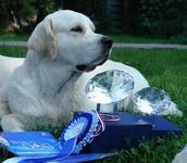 Париж2011 608.jpg