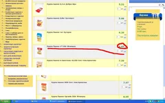 11.webp