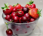 75b939dc71680f2e0b5a47e4.webp