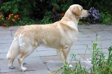 DSC00120-1отчет куб хар.webp