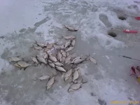 200801151504_00014.jpg
