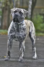  с княжьего двора 3.webp