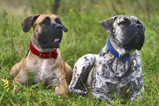  (Джулия) и Фэьбиан с княжьего двора 9.webp