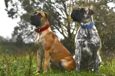  (Джулия) и Фэбиан с княжьего двора 15 уменьшенное.webp