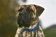  с княжьего двора 20 уменьшенное.webp