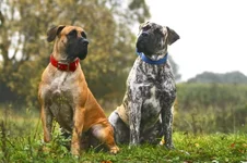  (Джулия) и Фэбиан с княжьего двора24 уменьшенное.webp