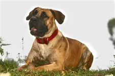  (Джулия) 25 уменьшенное.webp