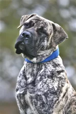  с княжьего двора 28.webp