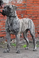  с княжьего двора30 уменьшенное.webp