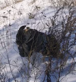 SSA41875 Фелиция в прыжке.webp