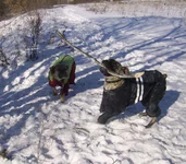 SSA41911 Офелия Сильва и Фелиция с княжьего двора обрезка.webp