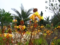  077.webp