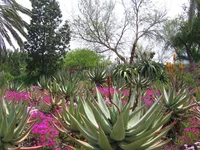  083.webp