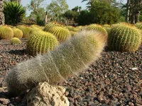 DSCF1852.webp