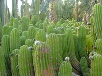 DSCF1853.webp