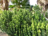 DSCF1854.webp