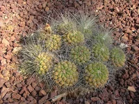 DSCF1855.webp