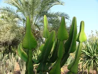 DSCF1857.webp