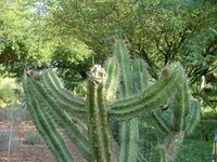DSCF1861.webp