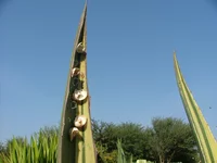 DSCF1890.webp