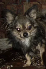 SSA43113 чих 11 для сайта.webp