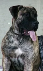  с Тимой без Паши.webp