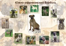 _бурбуль_гор1 для сайта.webp