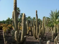 DSCF1846.webp