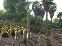 DSCF1847.webp