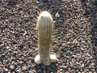 DSCF1848.webp