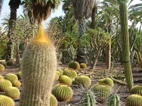 DSCF1850.webp
