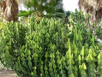 DSCF1854.webp