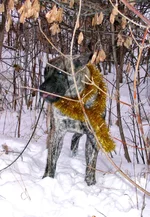 IMG_0297 Фэбиан для Мадлен 3 для сайта.webp